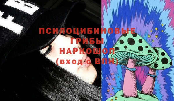 шишки Струнино