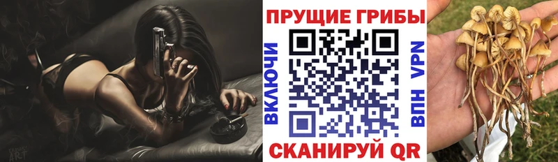 Галлюциногенные грибы ЛСД  Шарыпово 