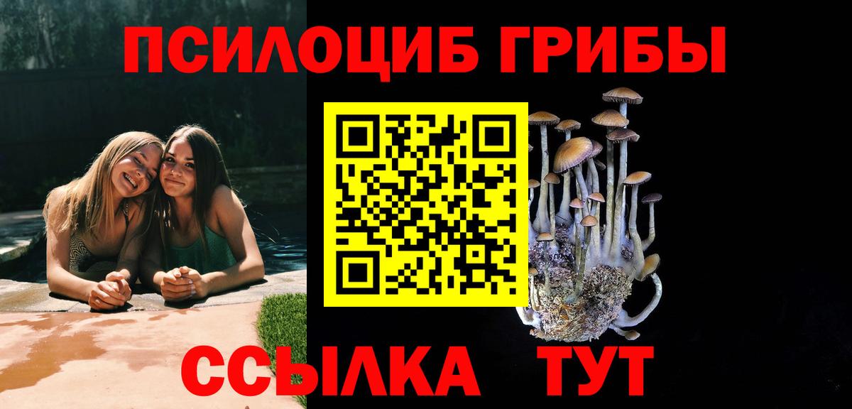 Галлюциногенные грибы Cubensis Шарыпово